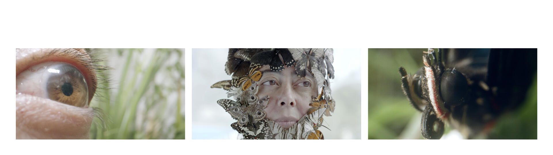 Marica